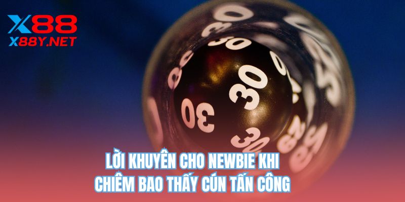 Lời khuyên cho Newbie khi chiêm bao thấy cún tấn công