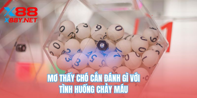 Mơ thấy chó cắn đánh gì với tình huống chảy máu