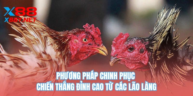 Phương pháp chinh phục chiến thắng đỉnh cao từ các lão làng